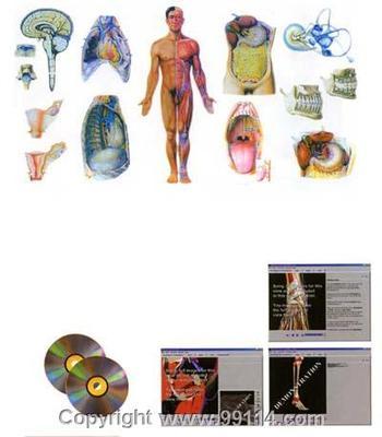 医学教学器材概览 挂图、VCD与专业设备的采购指南
